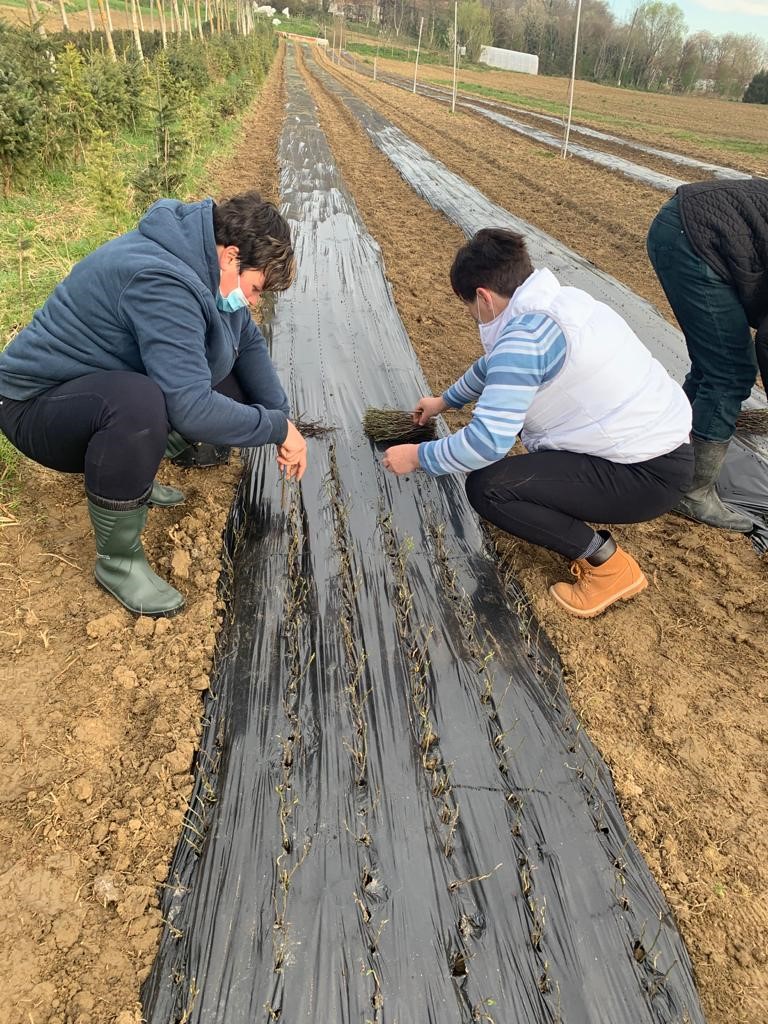 Praktično osposobljavanje žena na projektu Zaželi-faza II