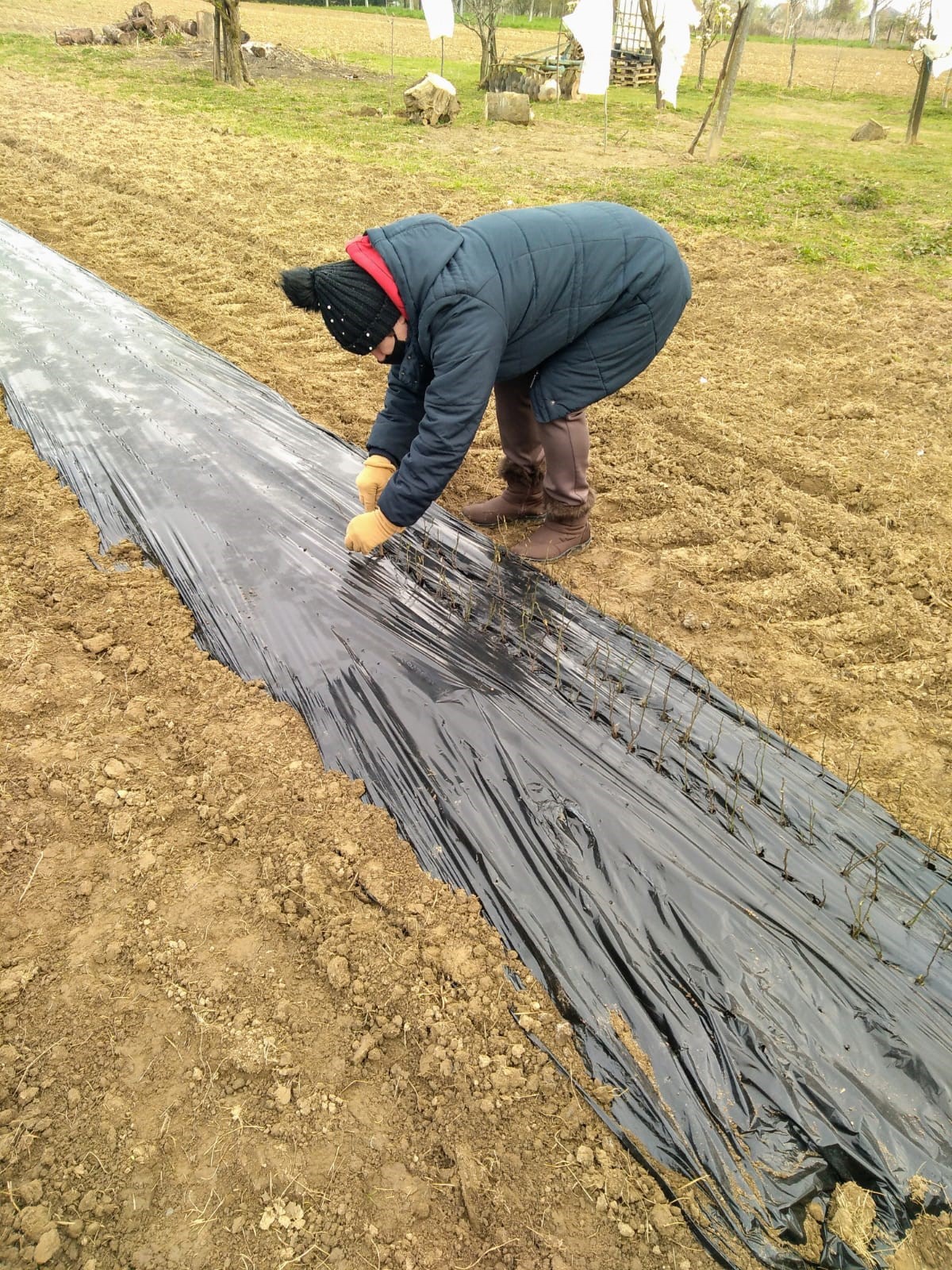 Praktično osposobljavanje žena na projektu Zaželi-faza II