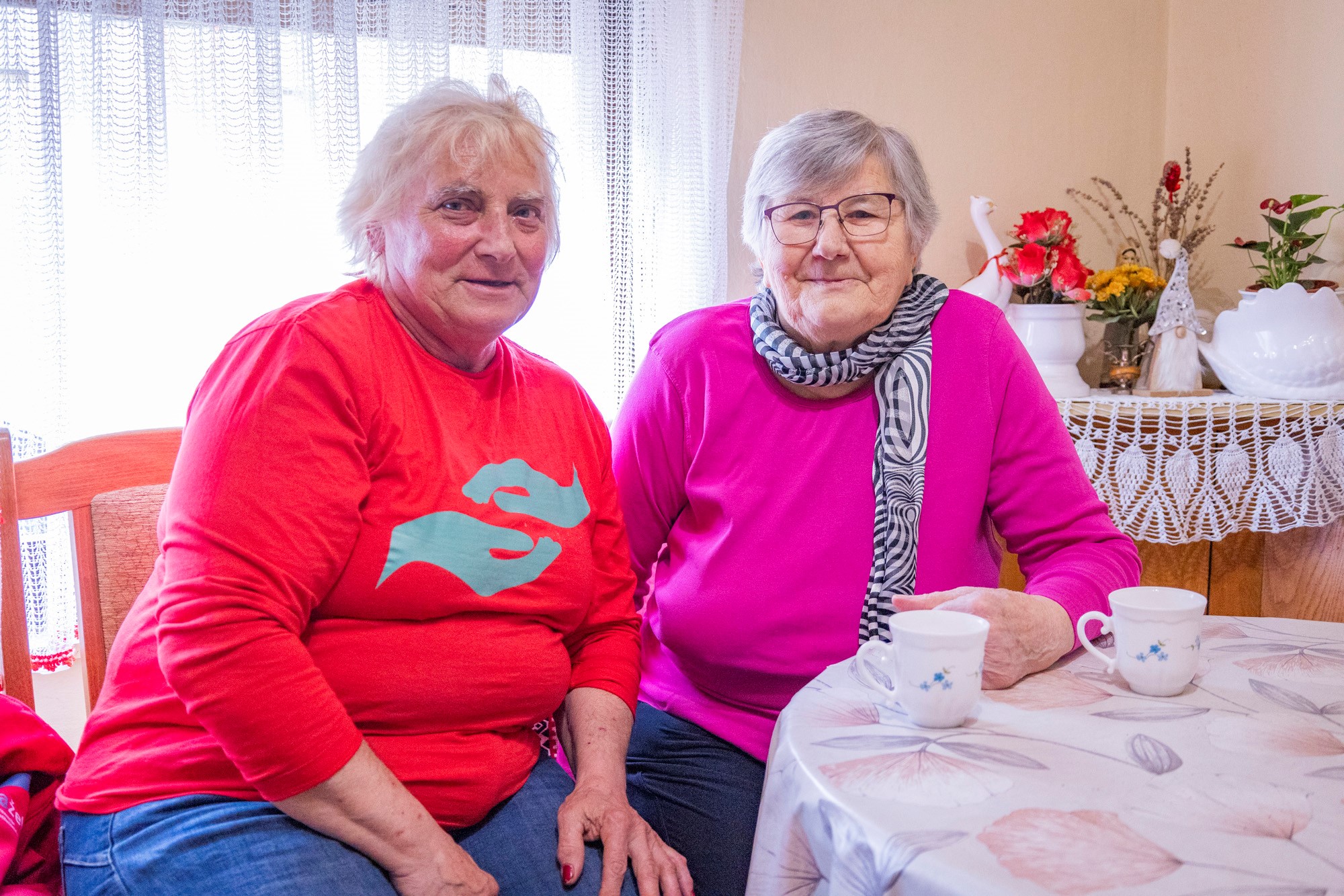 Projekt „Zaželi, pomozi, olakšaj” u Općini Donja Voća