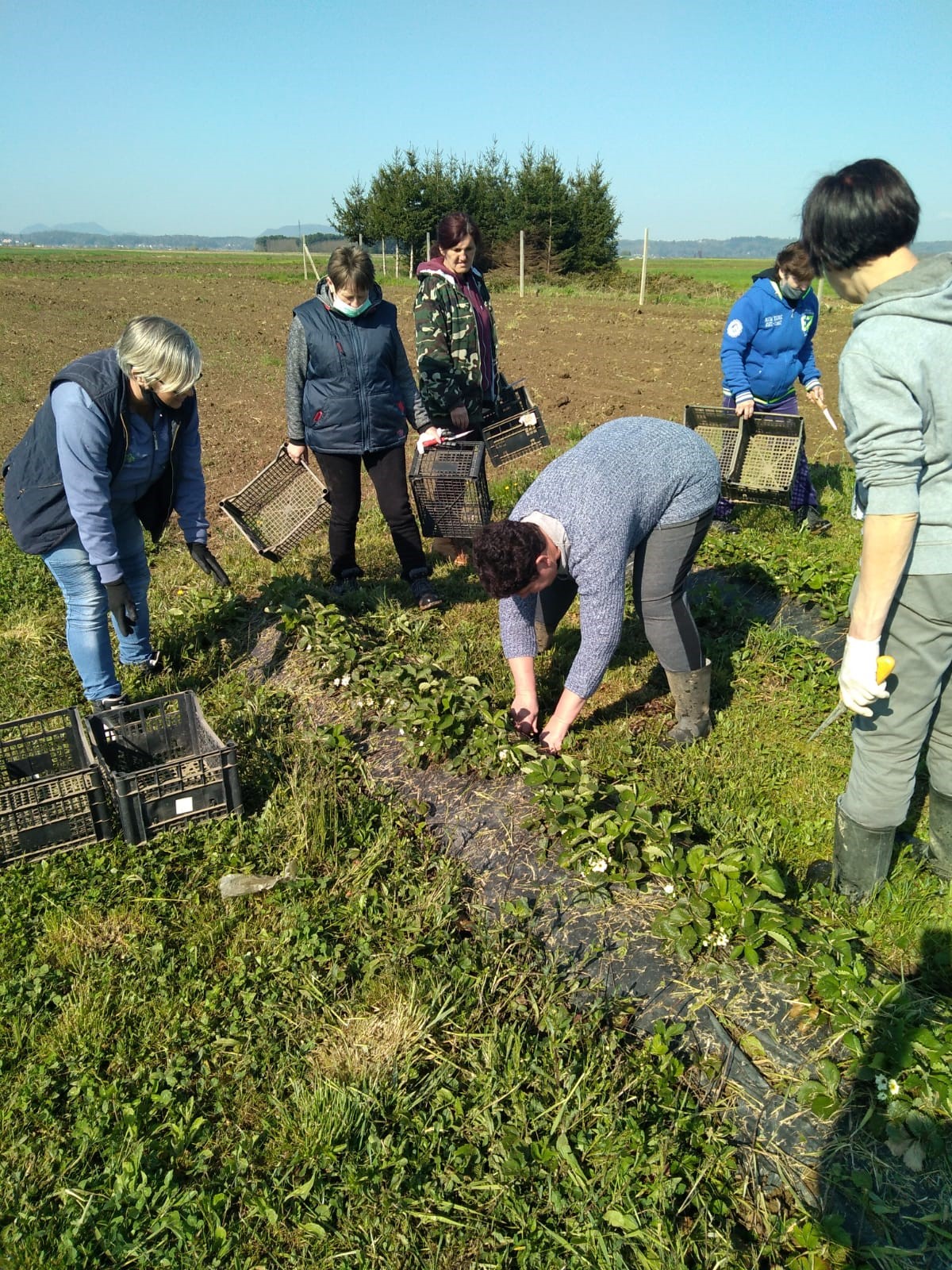Stručna praksa na OPG-u Šipek Darko