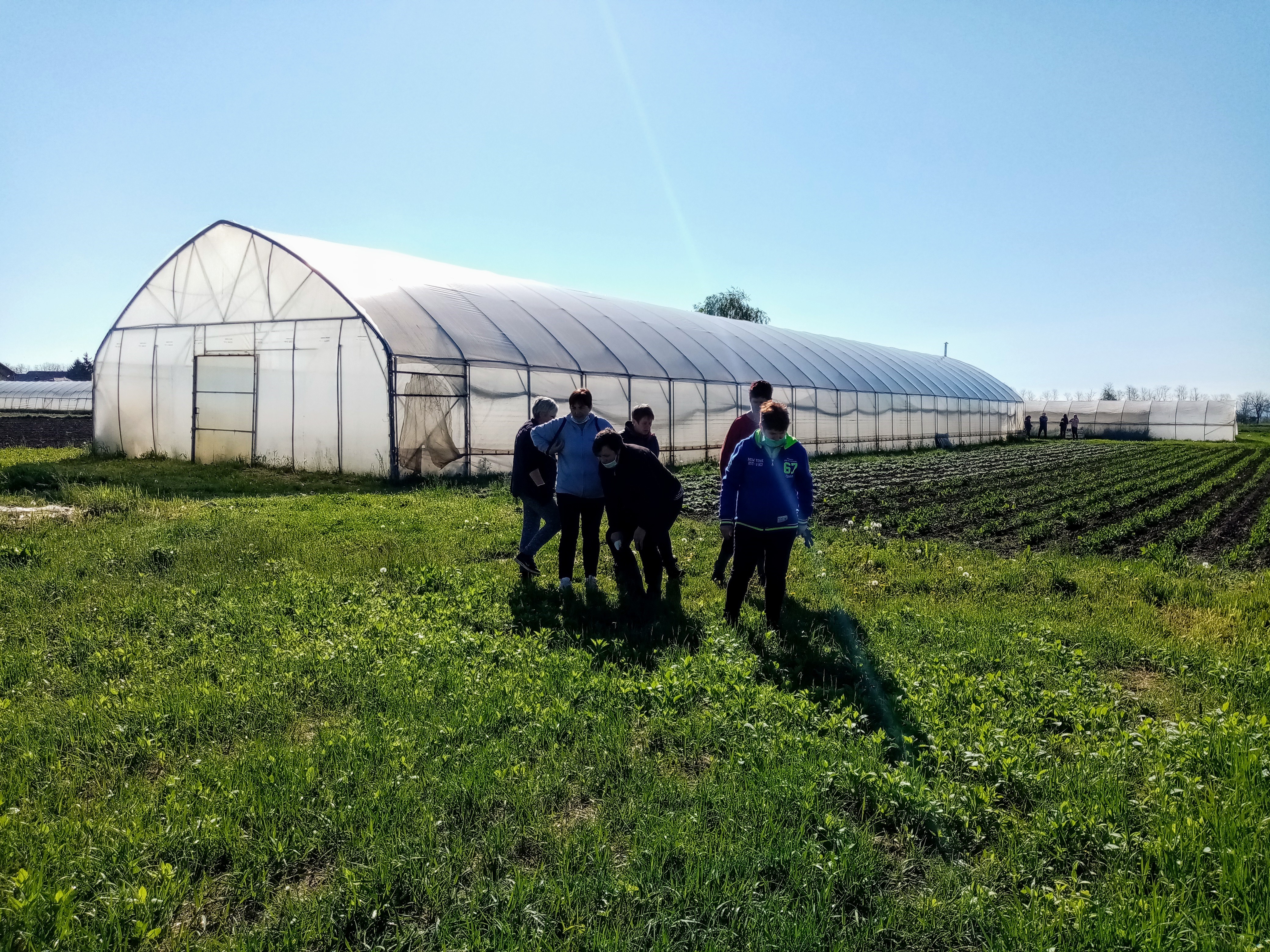 Stručna praksa na OPG-u Šipek Darko